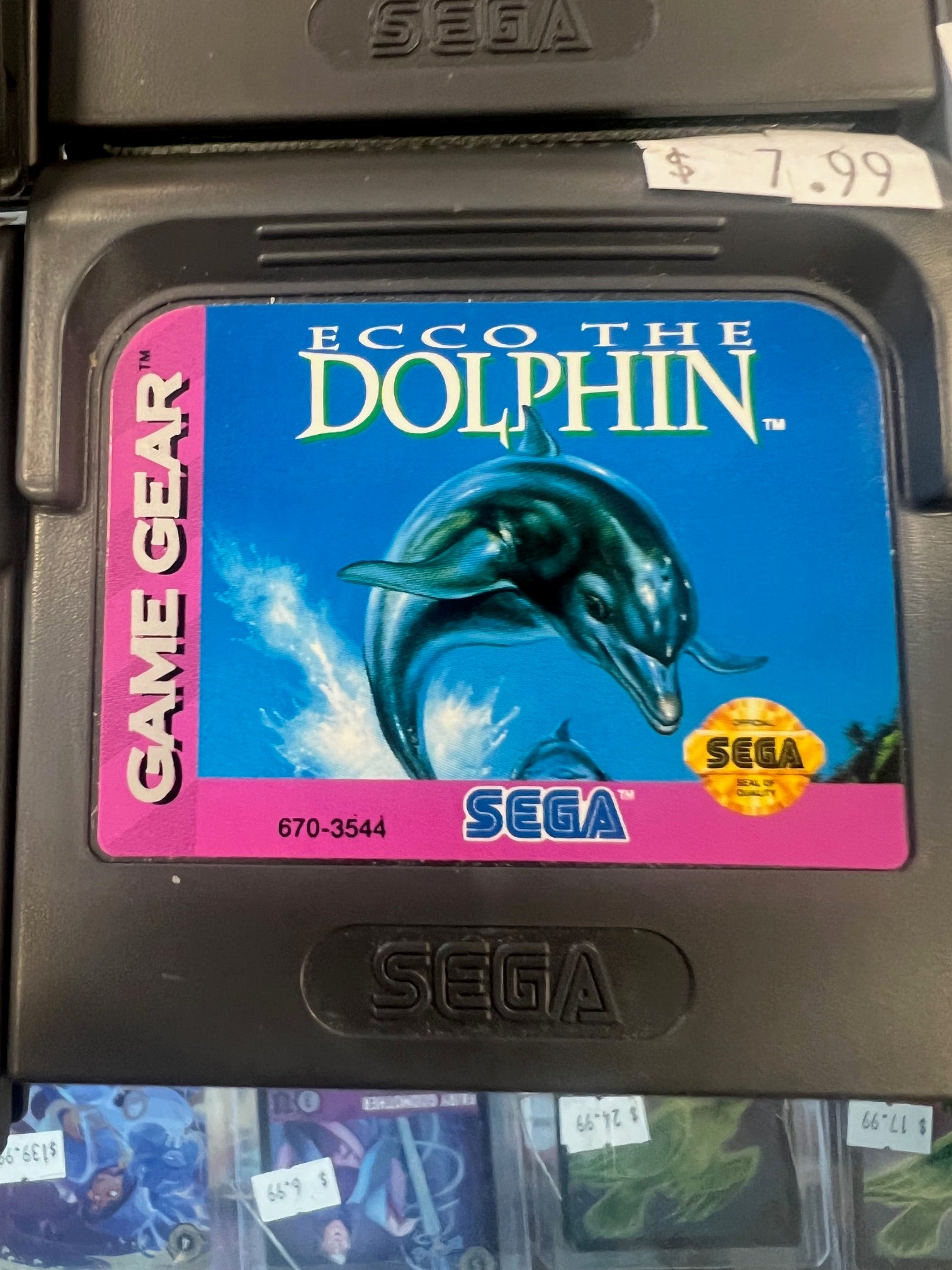 Ecco the Dolphin