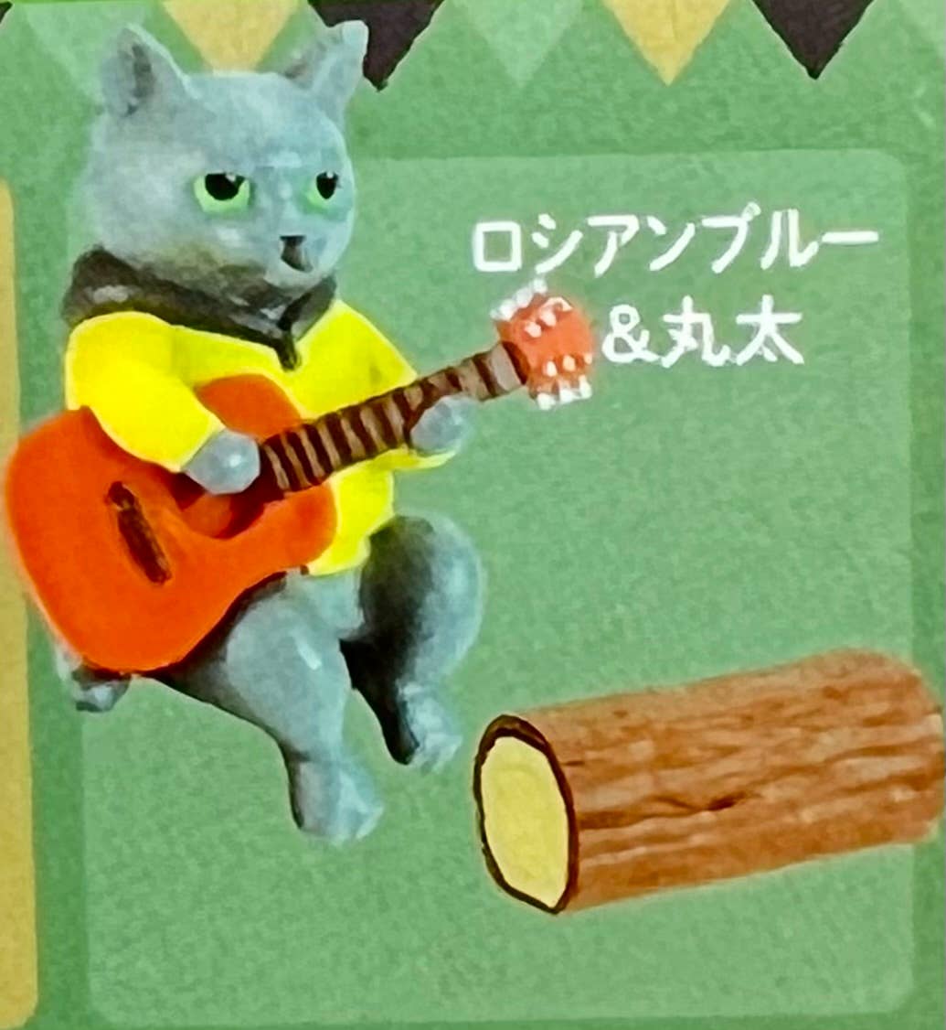 Campfire Cats Blind Box - NE51226