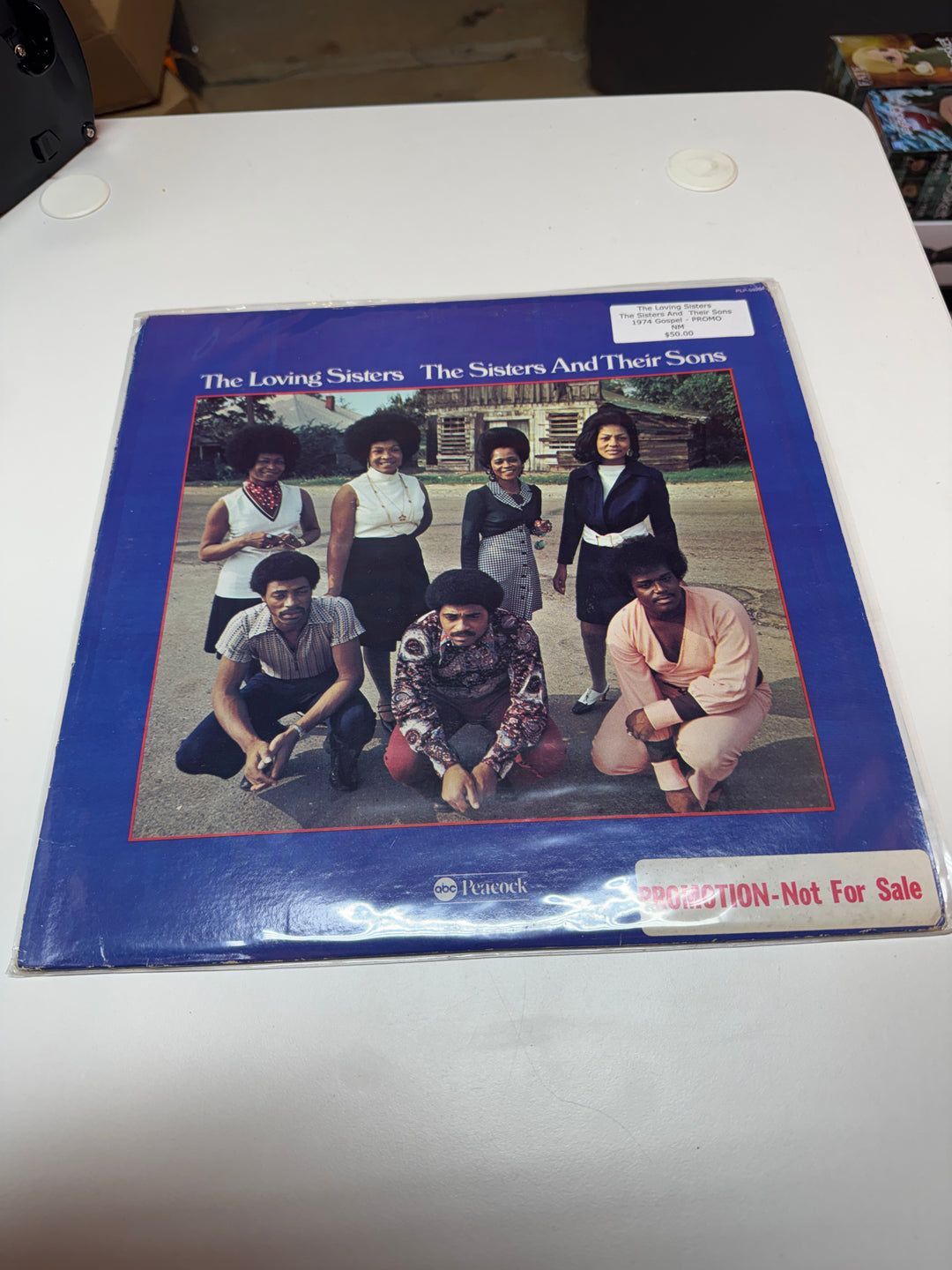 The Loving Sisters - The Sisters and Their Sons - Promo (NM Condition) Vinyl Record   VR32326