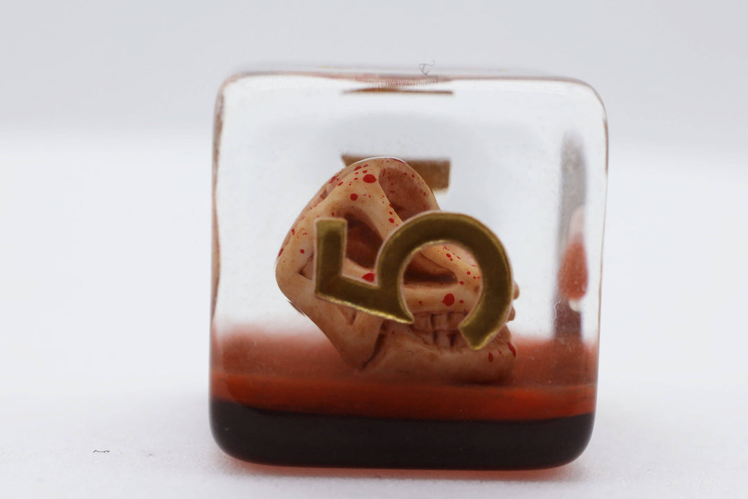 Dino Fossil RPG Dice Set - NE043026