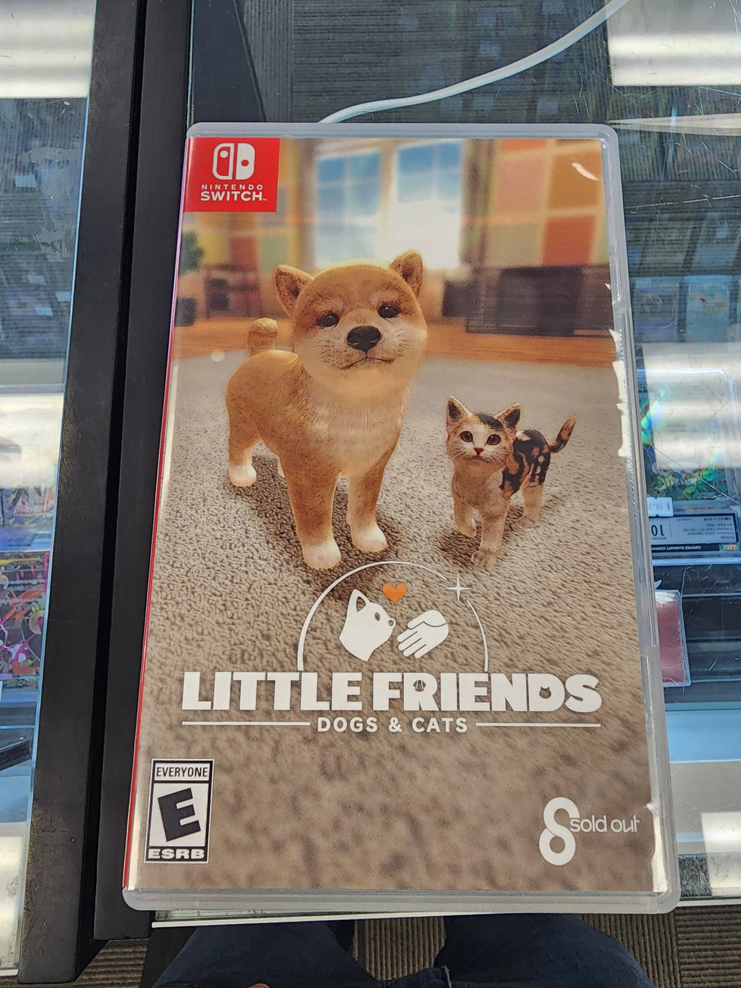 Little Friends: Dogs & Cats - Nintendo Switch DS12225