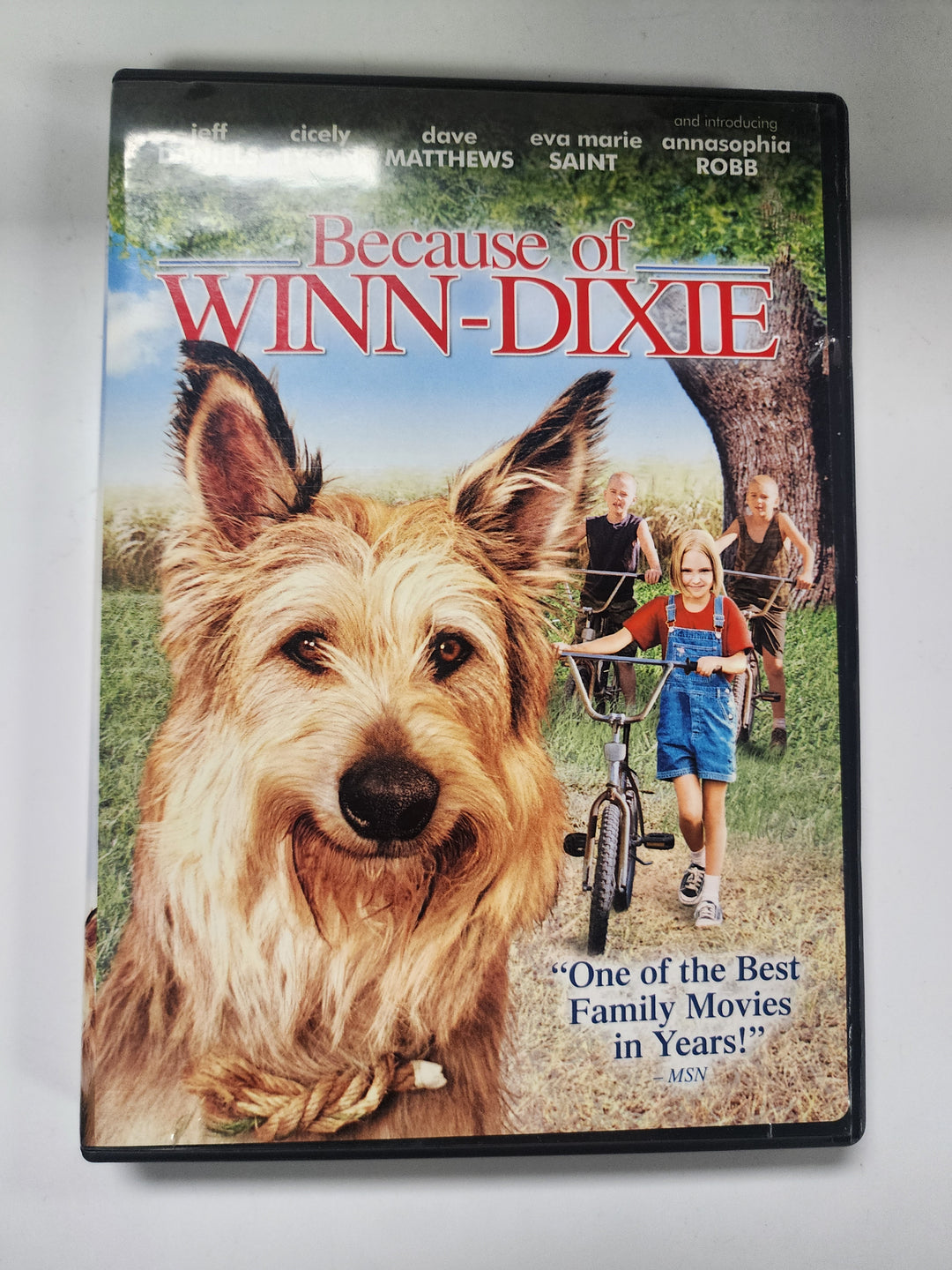 Because of Winn-Dixie - DVD PM9826