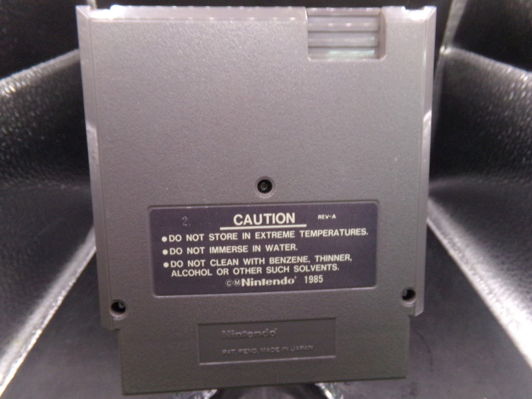 Astyanax Nintendo NES Used
