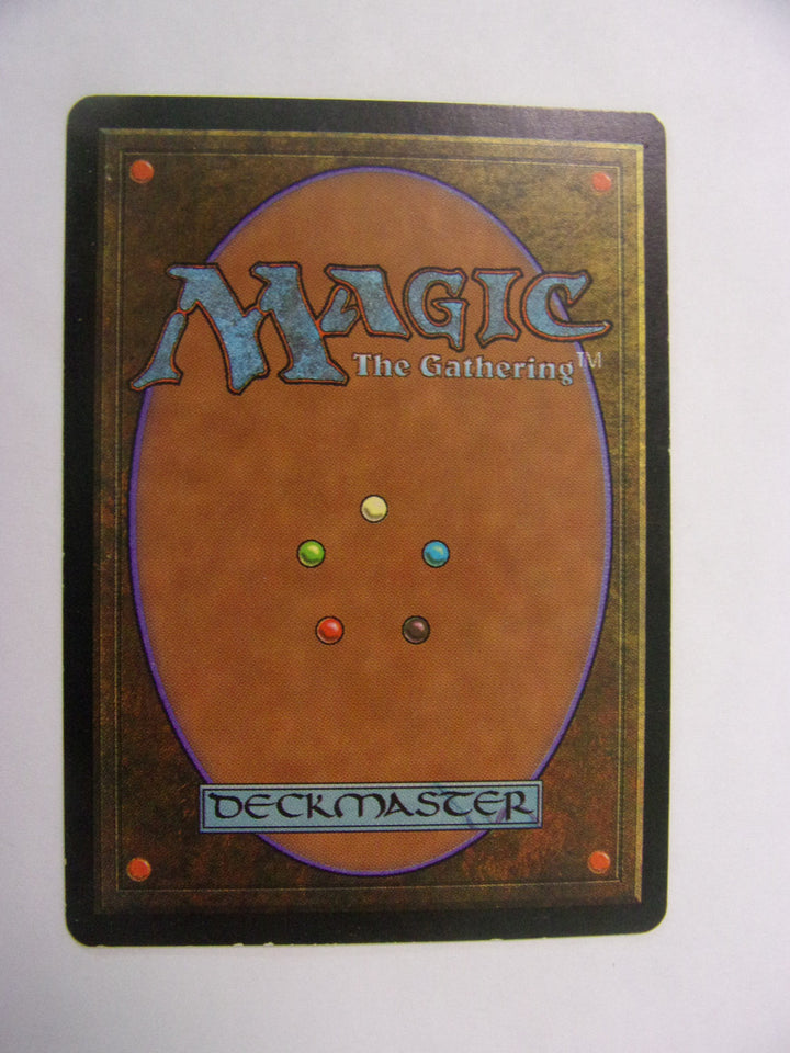 Magic: The Gathering Urza's Saga - Argothian Enchantress (MP)