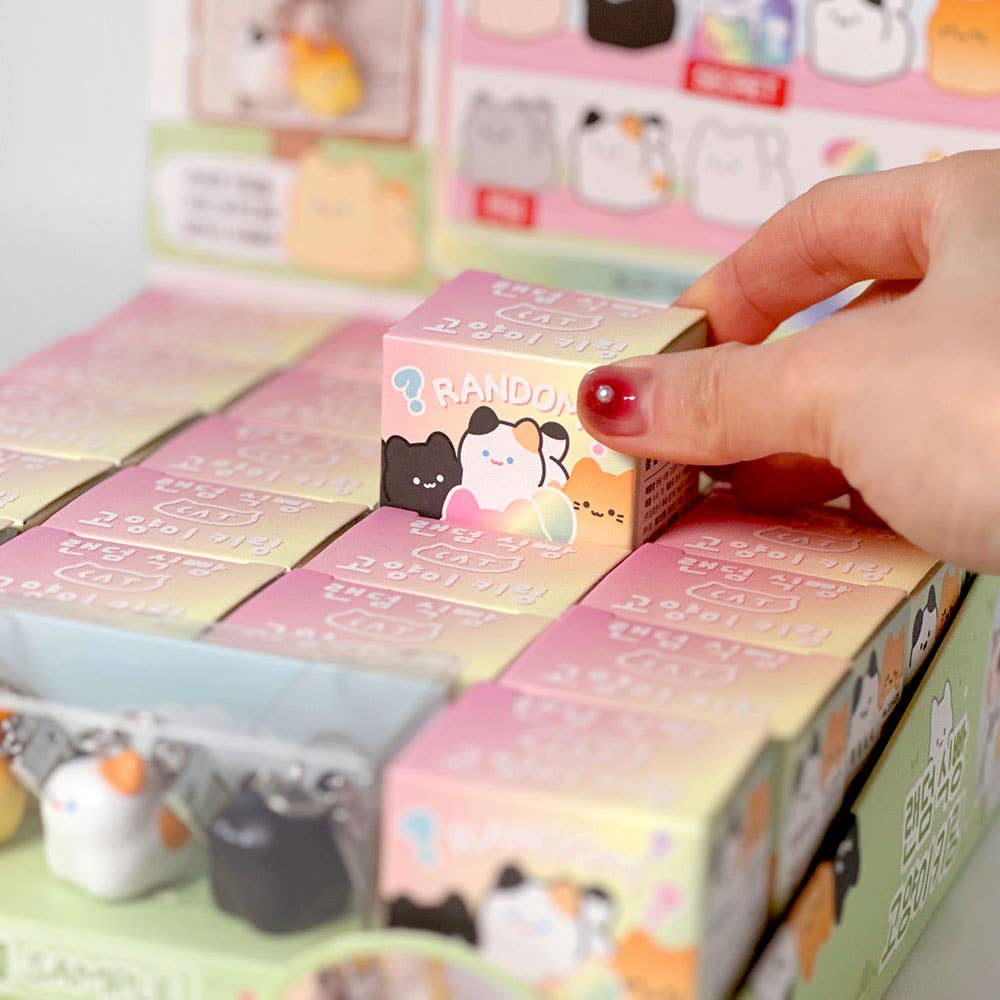 Kawaii Bread Cat Keychain – Mystery Blind Box NE33126
