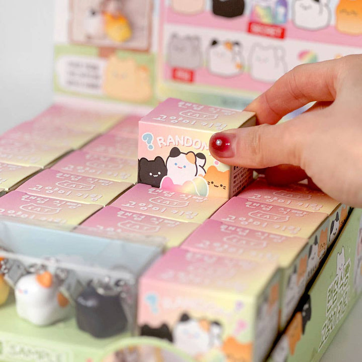 Kawaii Bread Cat Keychain – Mystery Blind Box NE33126