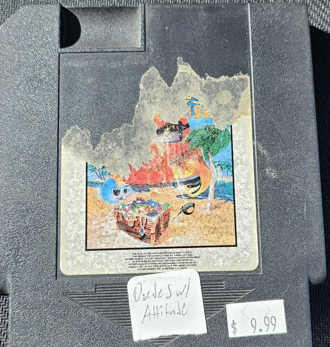 Dudes with Attitude - NES SD0000