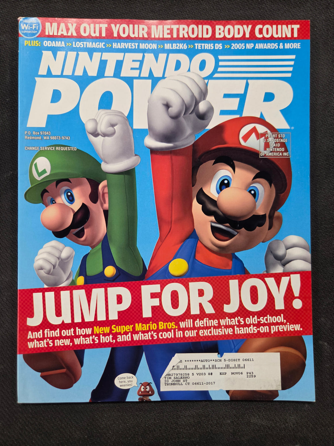 Nintendo Power Issue #203 (New Super Mario Bros.) NP5826