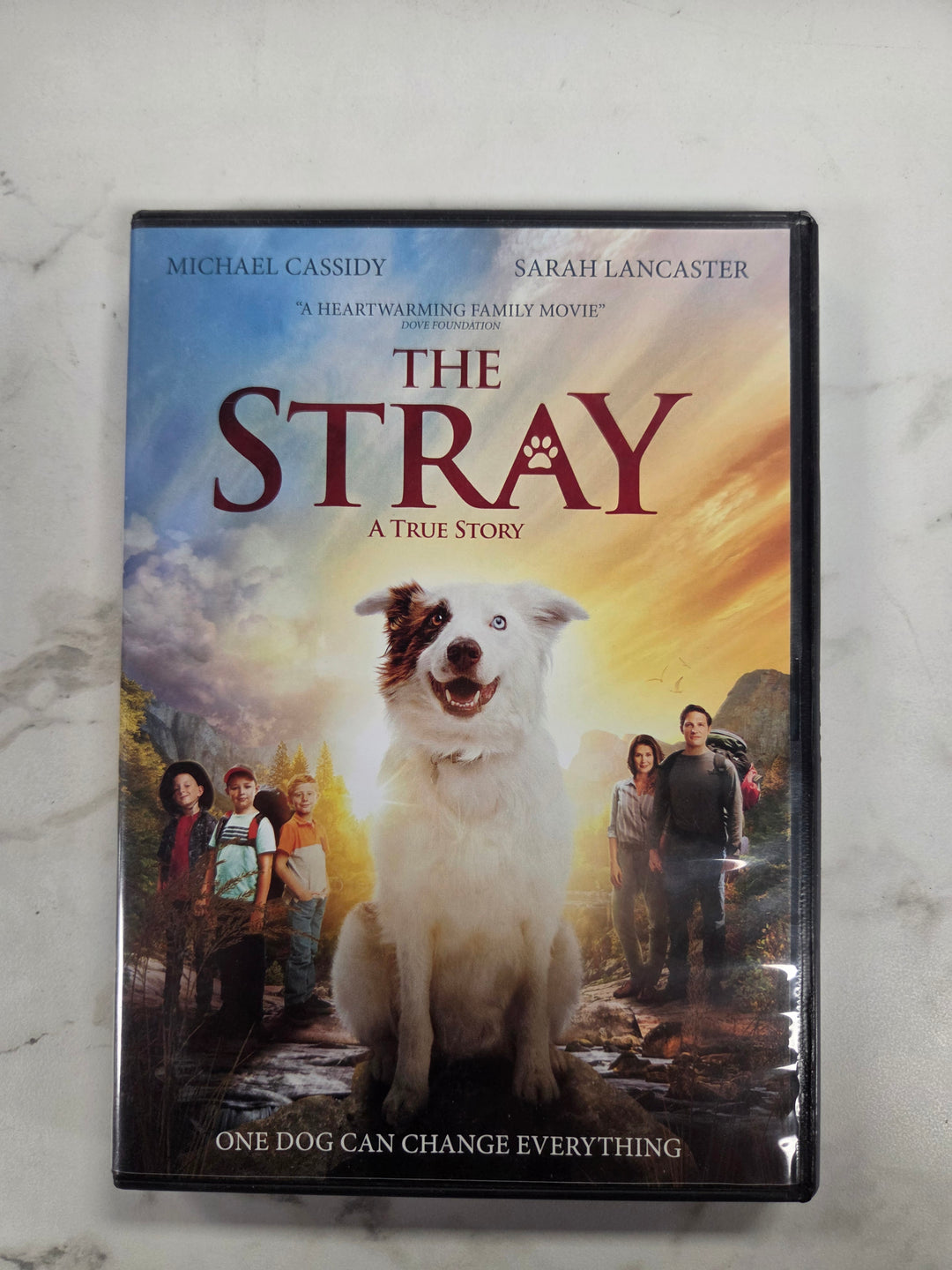 Stray - DVD PM9926