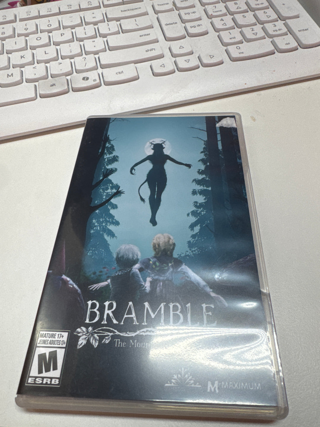 Bramble The Mountain King - Nintendo Switch DS42726