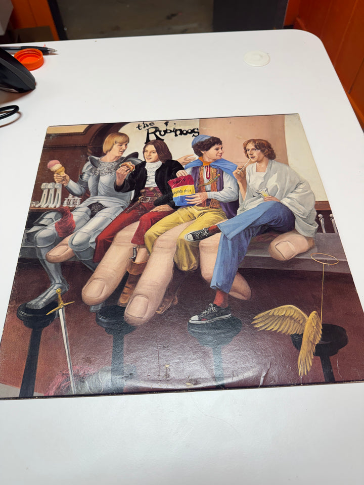 The Rubinoos S/T (NM Condition) Vinyl Record   VR31726