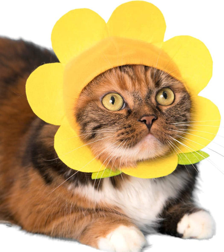Flower Cat Hat (Blind Box, One of 5 Styles)