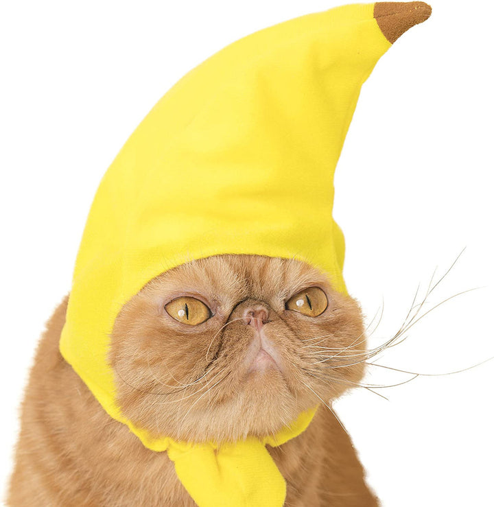 Fruit Cat Hat (Blind Box, Style May Vary)