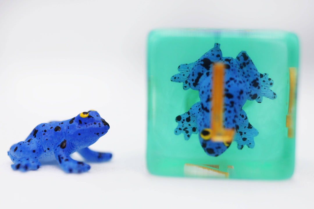 Dark Blue Frog RPG Dice Set - NE043026