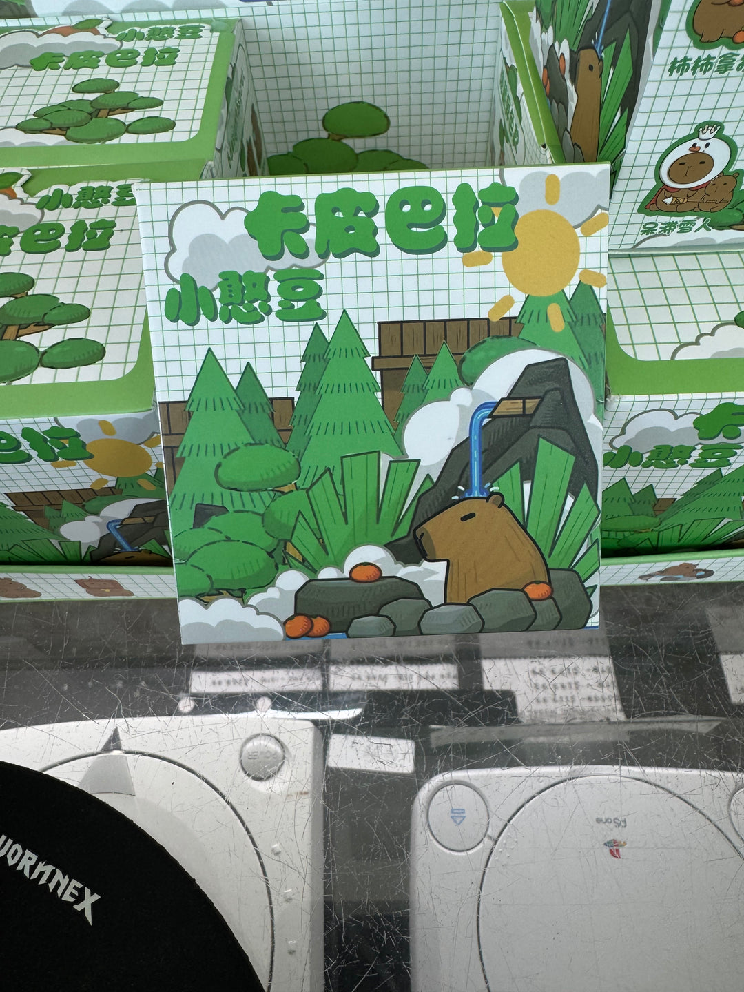 Little Bean Capybara Series  (1 Blind Box) BB42225