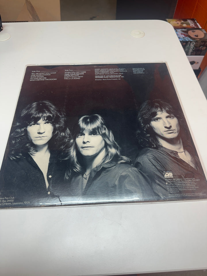 Zebra - S/T (VG Condition) Vinyl Record   VR32026