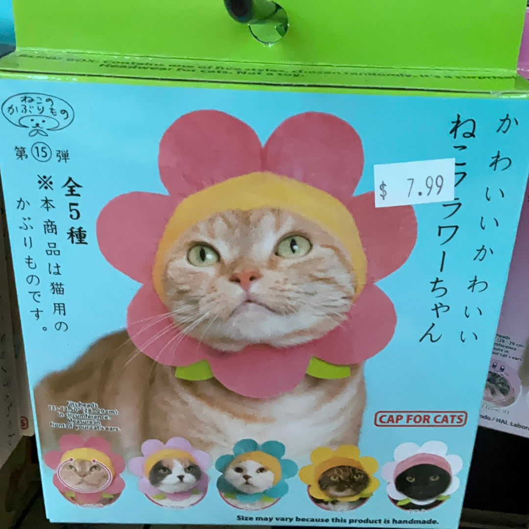 Cat Cap - Flower