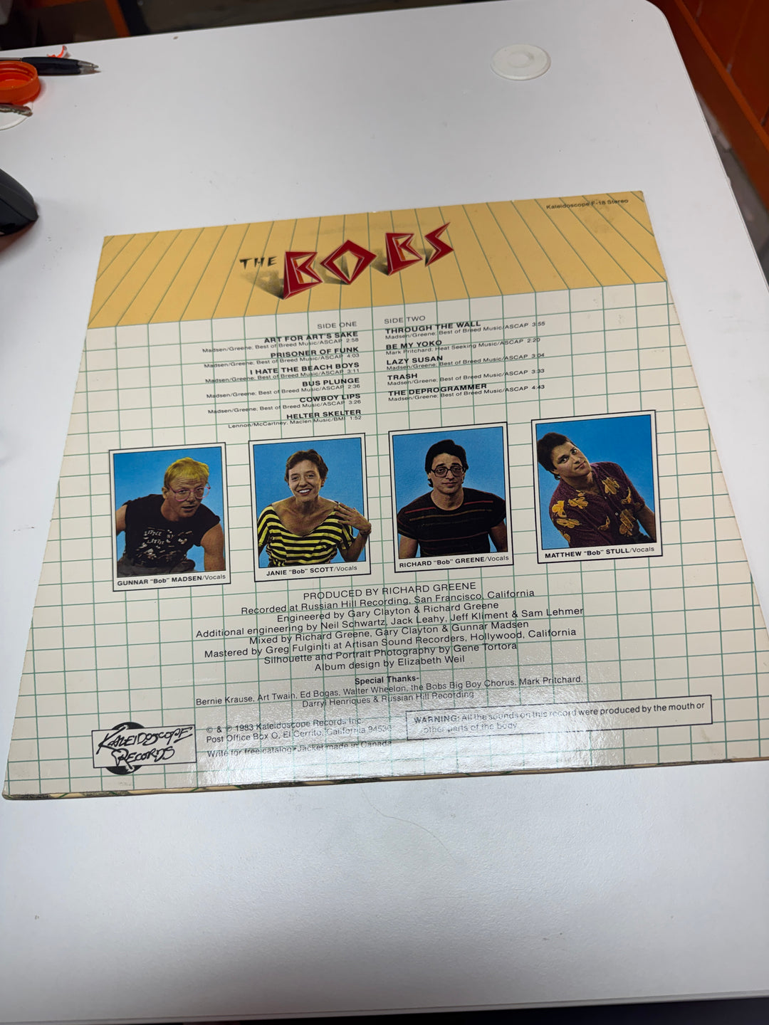 The Bobs - S/T (NM Condition) Vinyl Record   VR31726