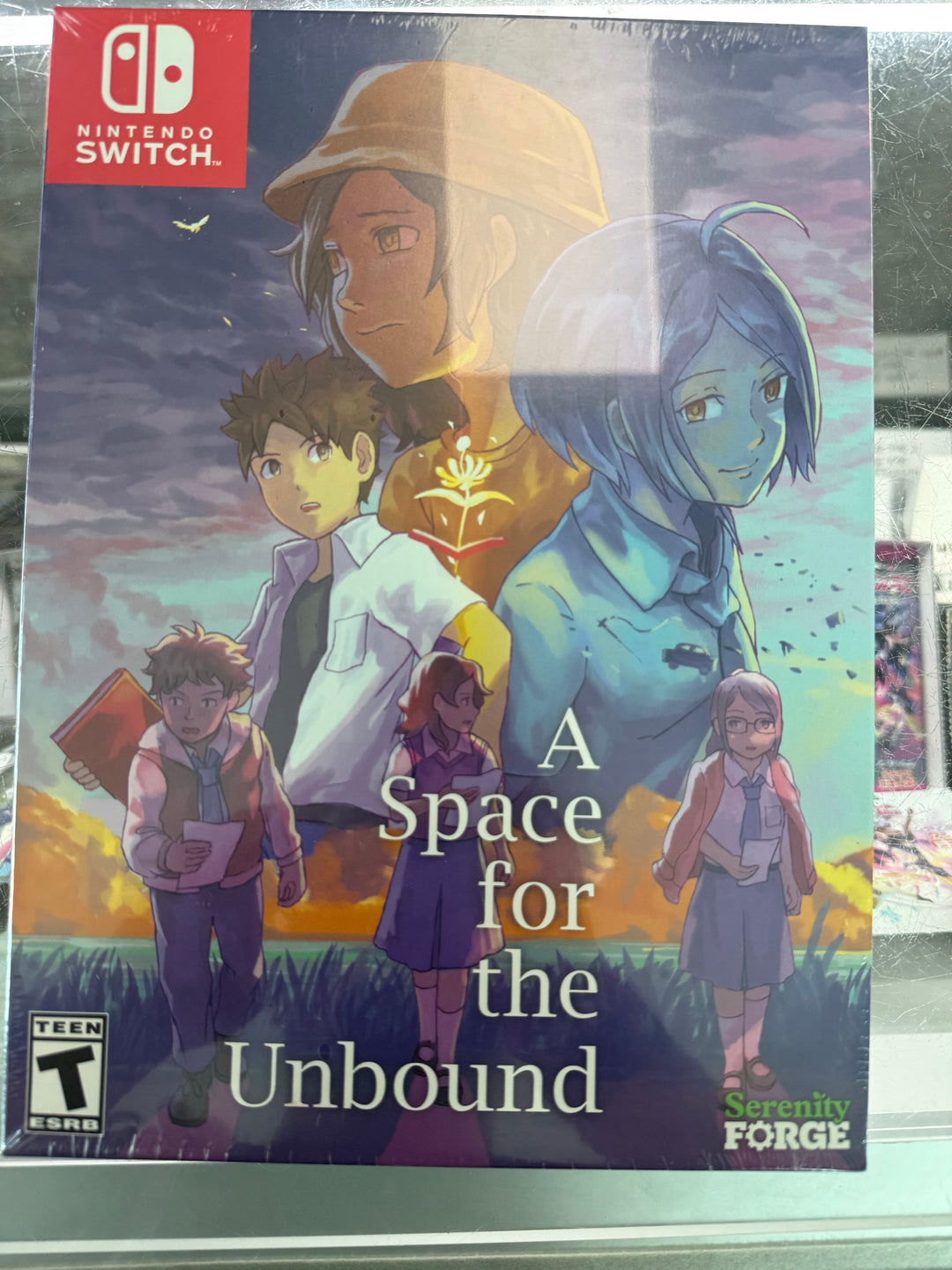A Space for the Unbound (Collector's Edition) - Switch DS71326