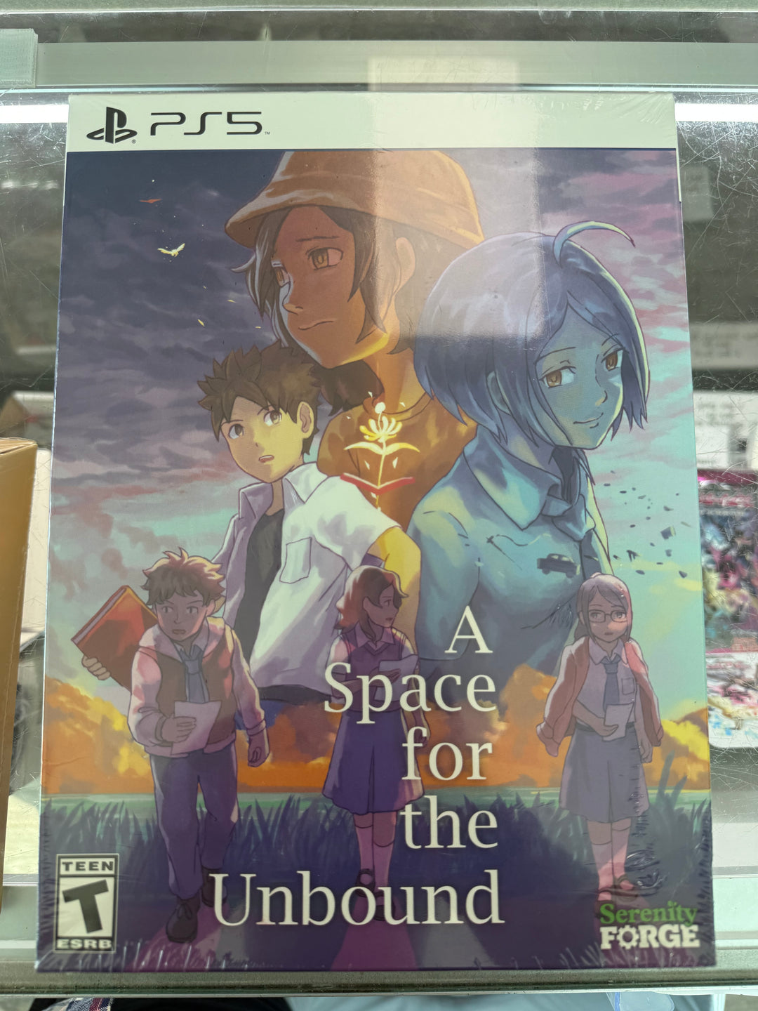 A Space for the Unbound (Collector's Edition) - PS5 DI71326