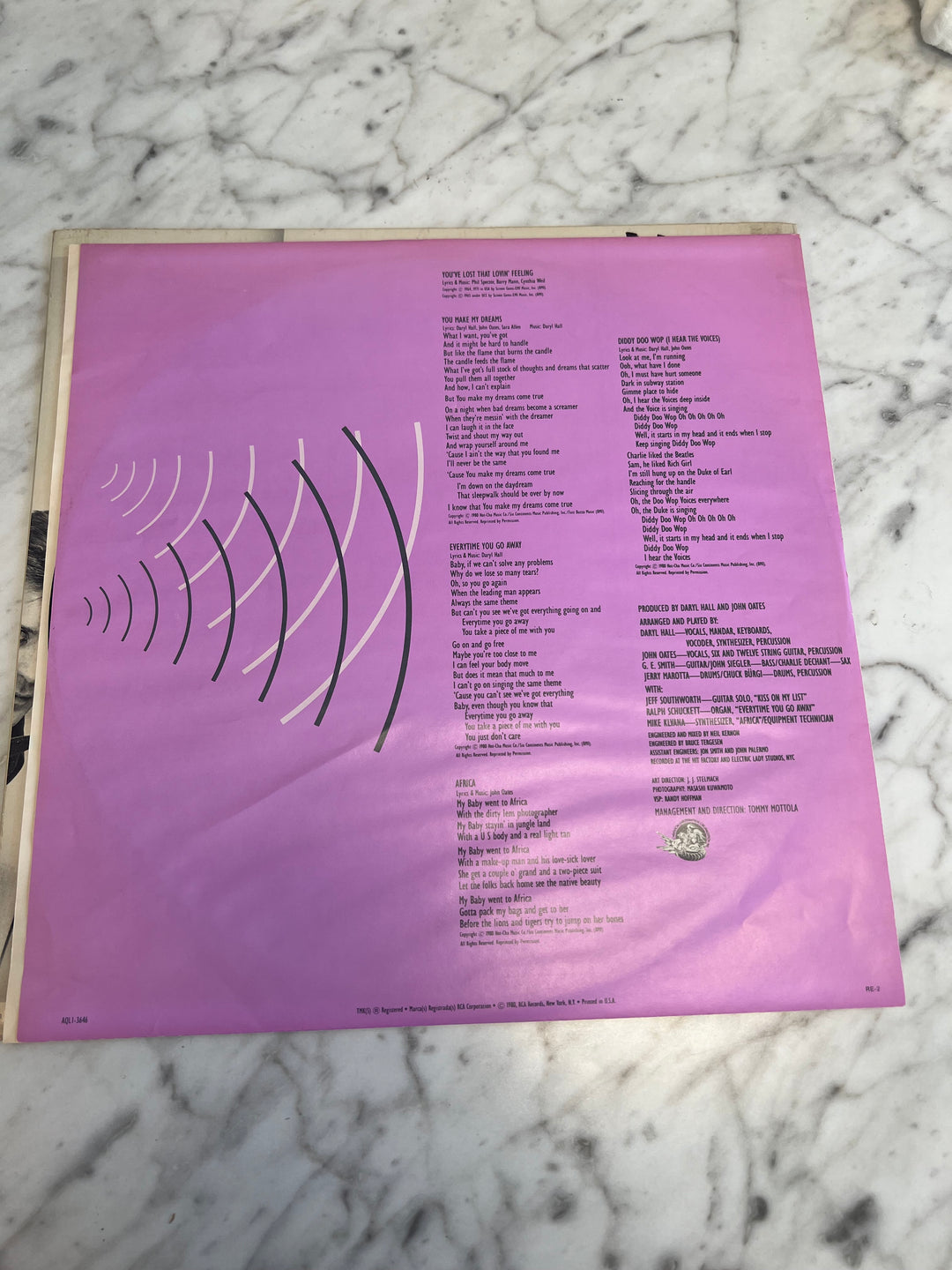 Daryl Hall and John Oates - Voices Vinyl Record AQL13646