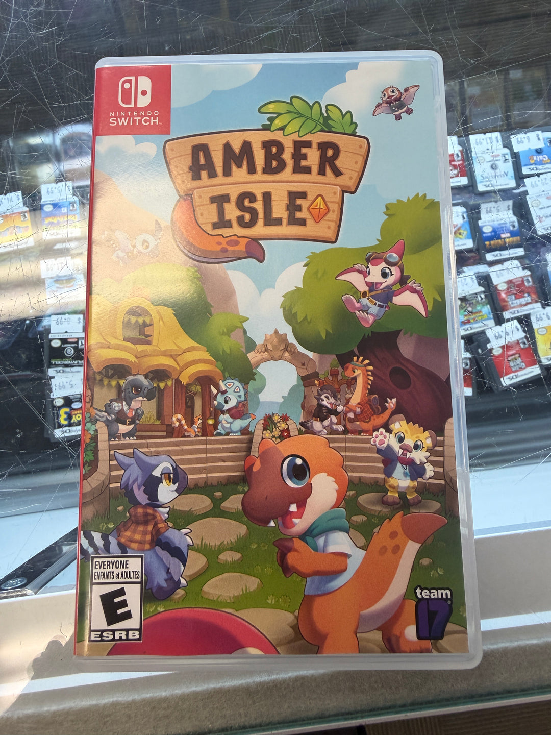 Amber Isle - Nintendo Switch DS7926