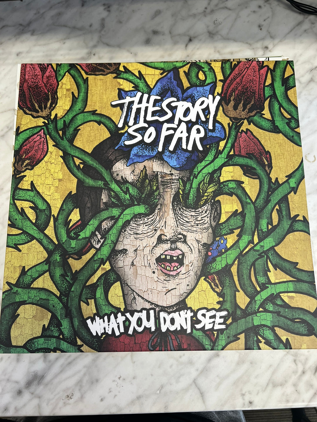 The Story So Far - What You Don't See (VG+ Condition) Neon Green Vinyl Record VR6926