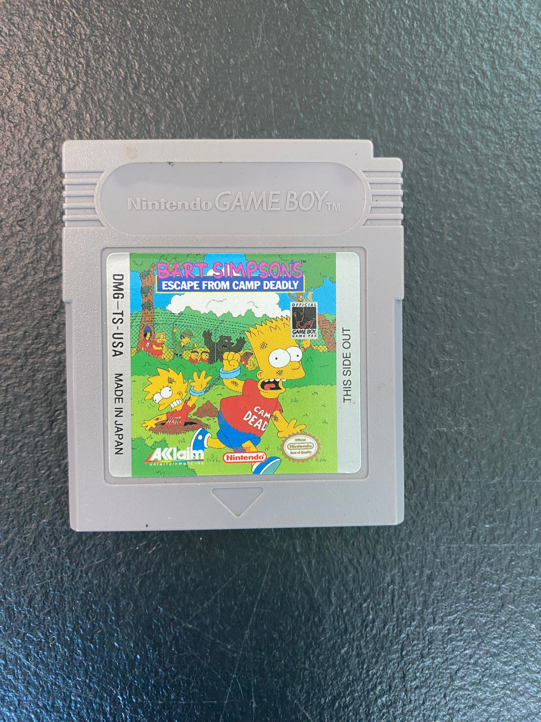 Bart Simpsons Escape from Camp Deadly - Game Boy