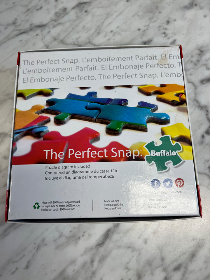 Pokemon 500 Piece Puzzle 2020 Buffalo Games The Perfect Snap T61025