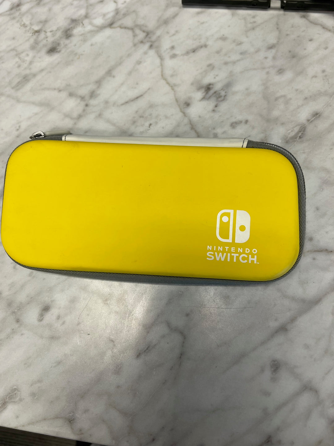 Nintendo Switch Lite Carry Case Turquoise Dandelion A61125