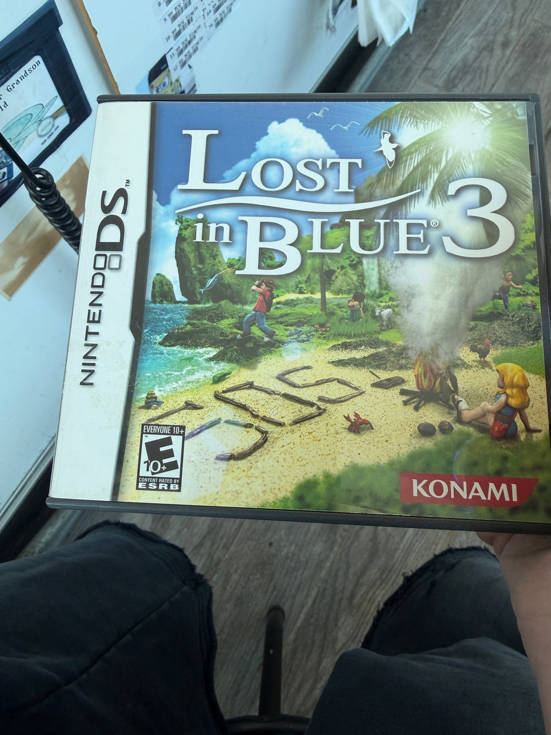 Lost in Blue 3 - DS DS81326