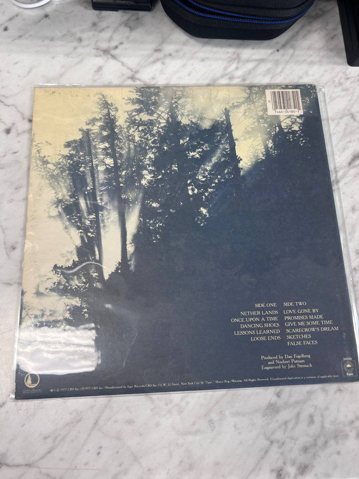 Dan Fogelberg - Nether Lands (NM) Condition Vinyl BOS91125