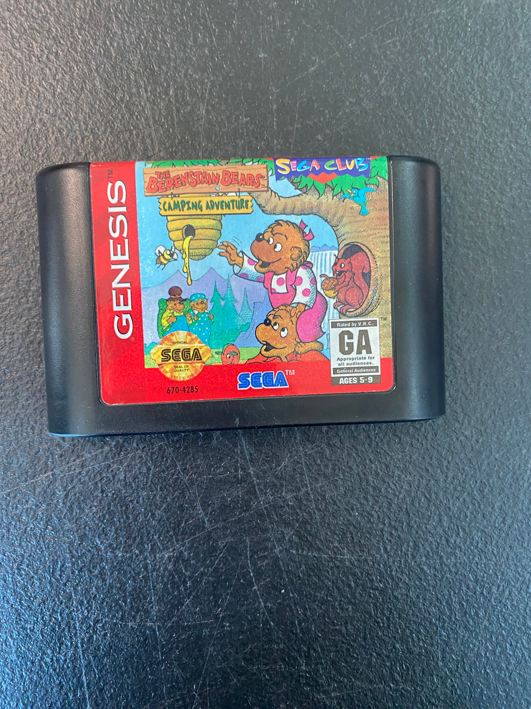 Berenstain Bears: Camping Adventure - Sega Genesis