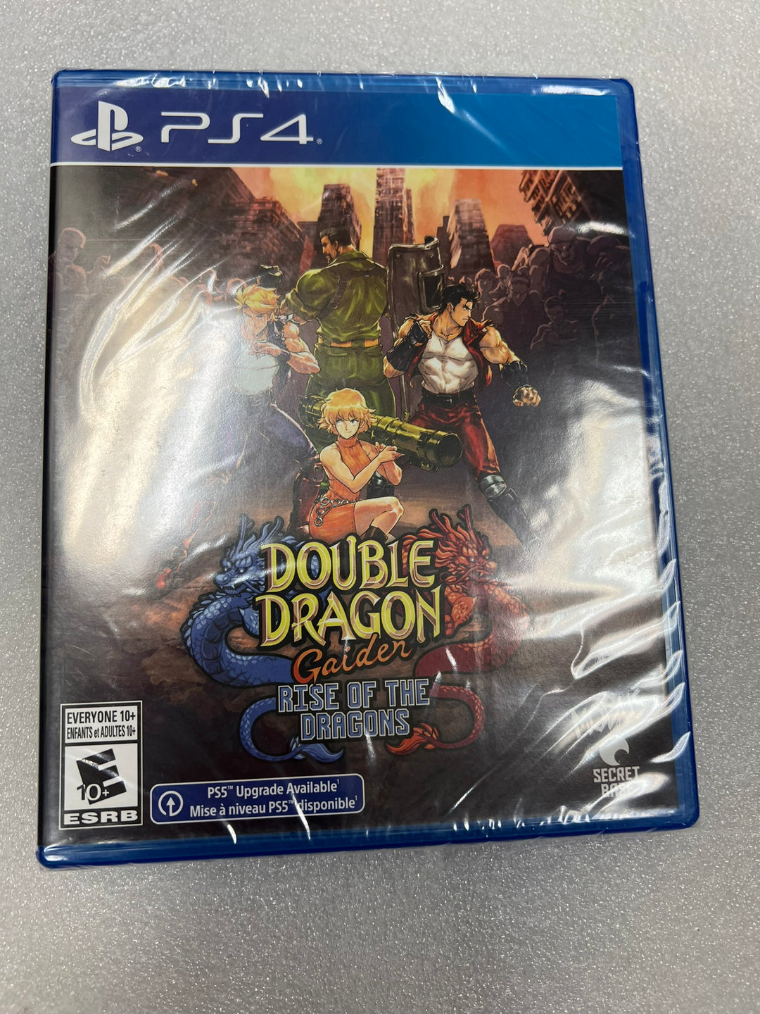 Double Dragon Gaiden Rise of the Dragons - PS4 DI71126