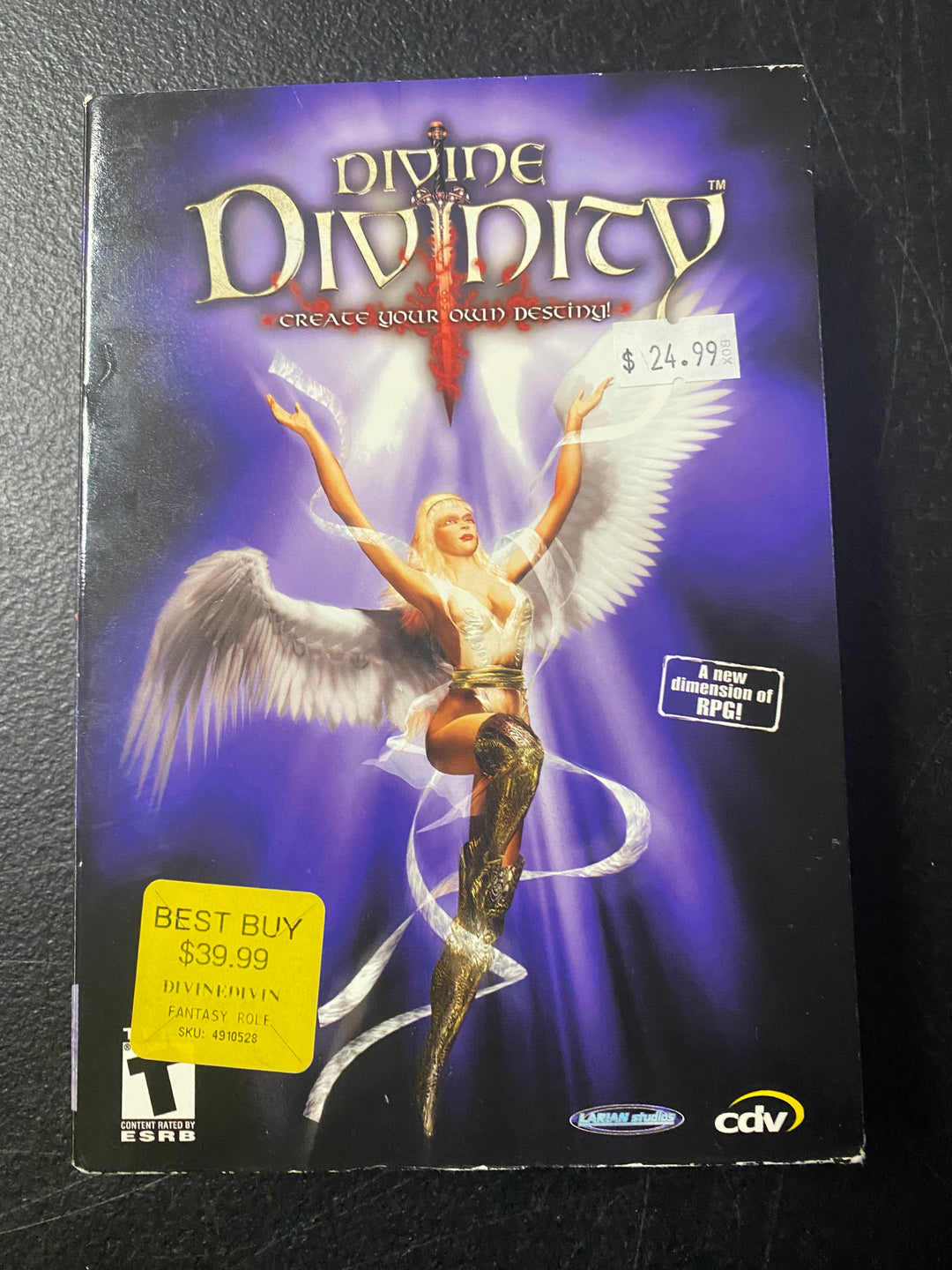 Divine Divinity - PC PC103025