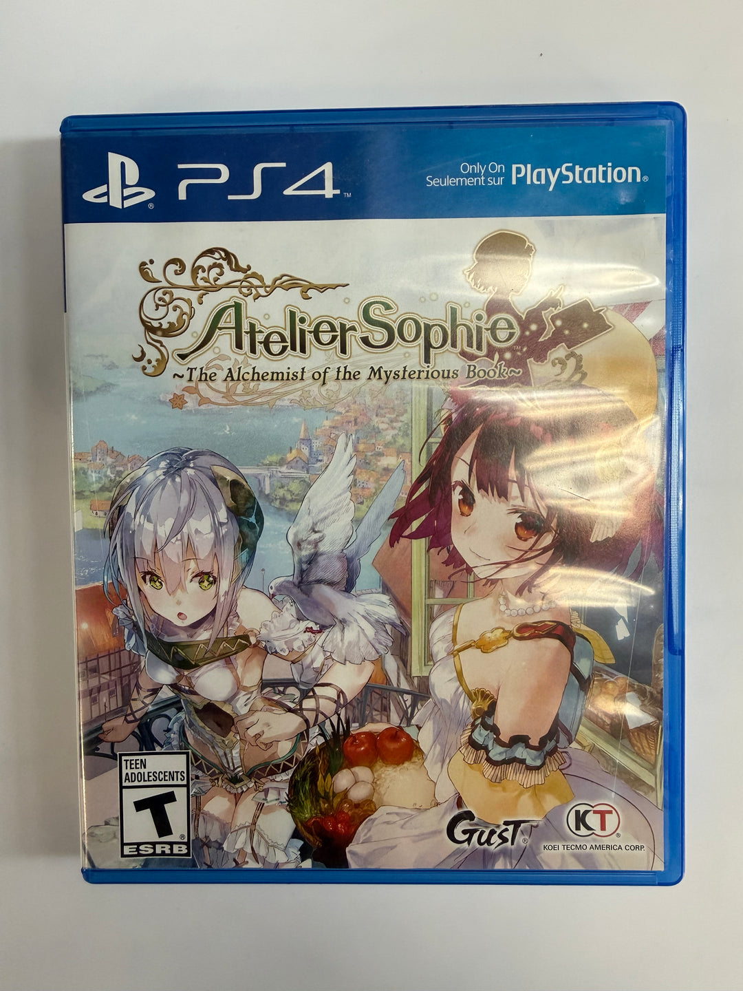 Atelier Sophie: The Alchemist of the Mysterious Book - PS4 DI71526