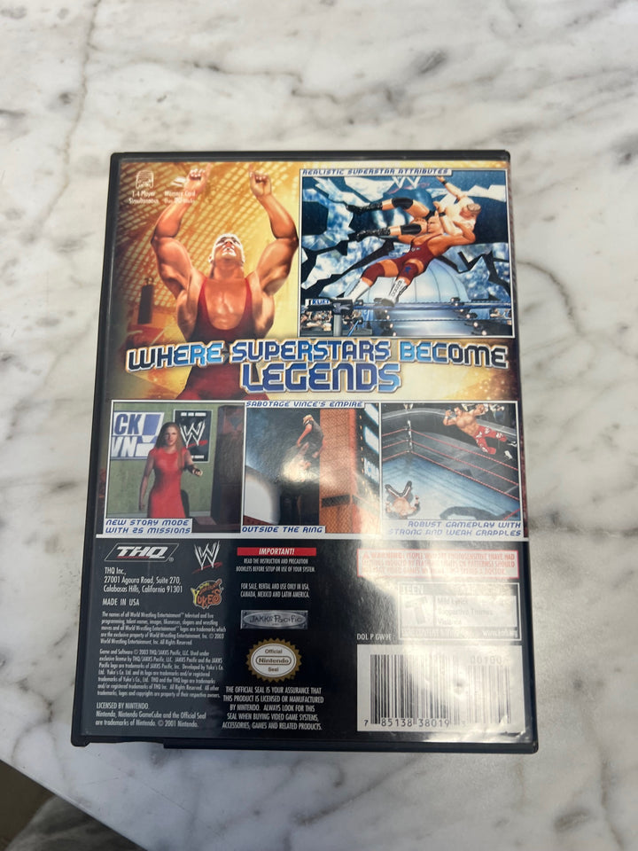 WWE Wrestlemania XIX Nintendo Gamecube Case Only CO63025