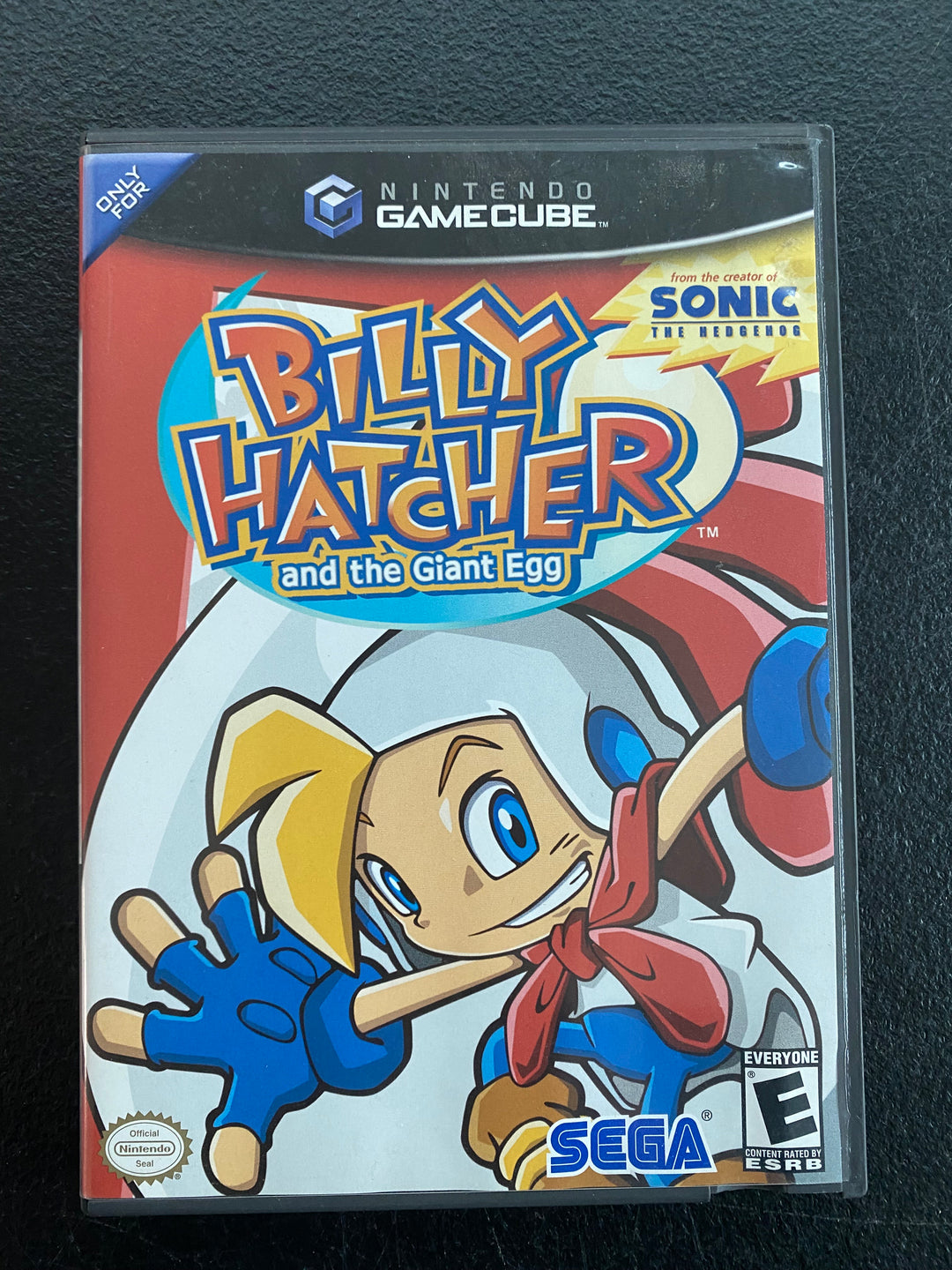 Billy Hatcher and the Giant Egg - Gamecube DI111025