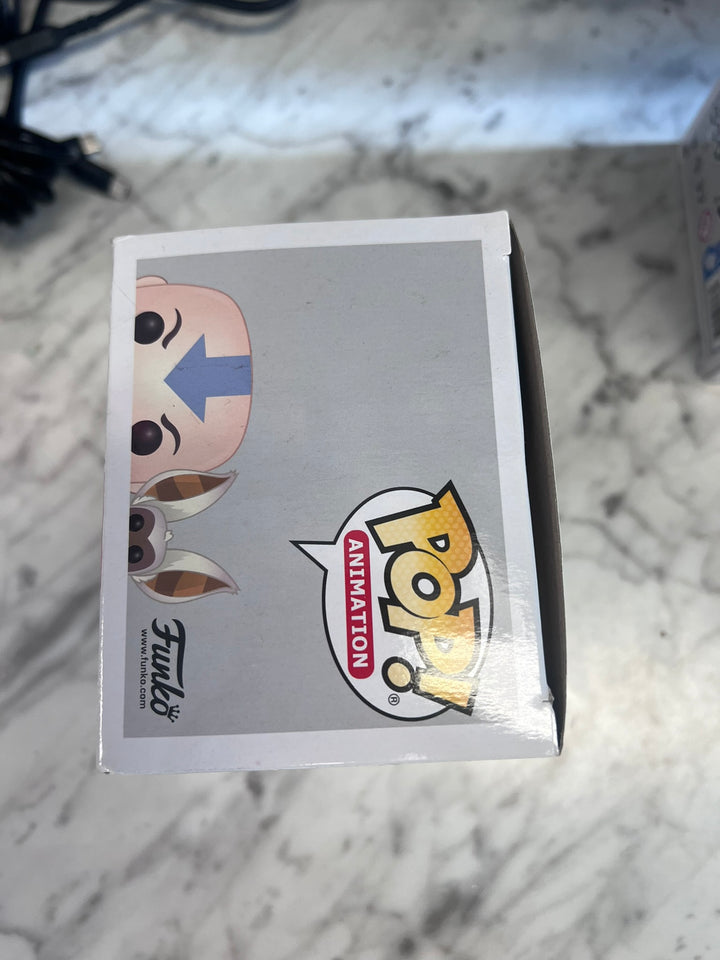 Funko Pop! Aang with Momo #534 Avatar the Last Airbender FP12326