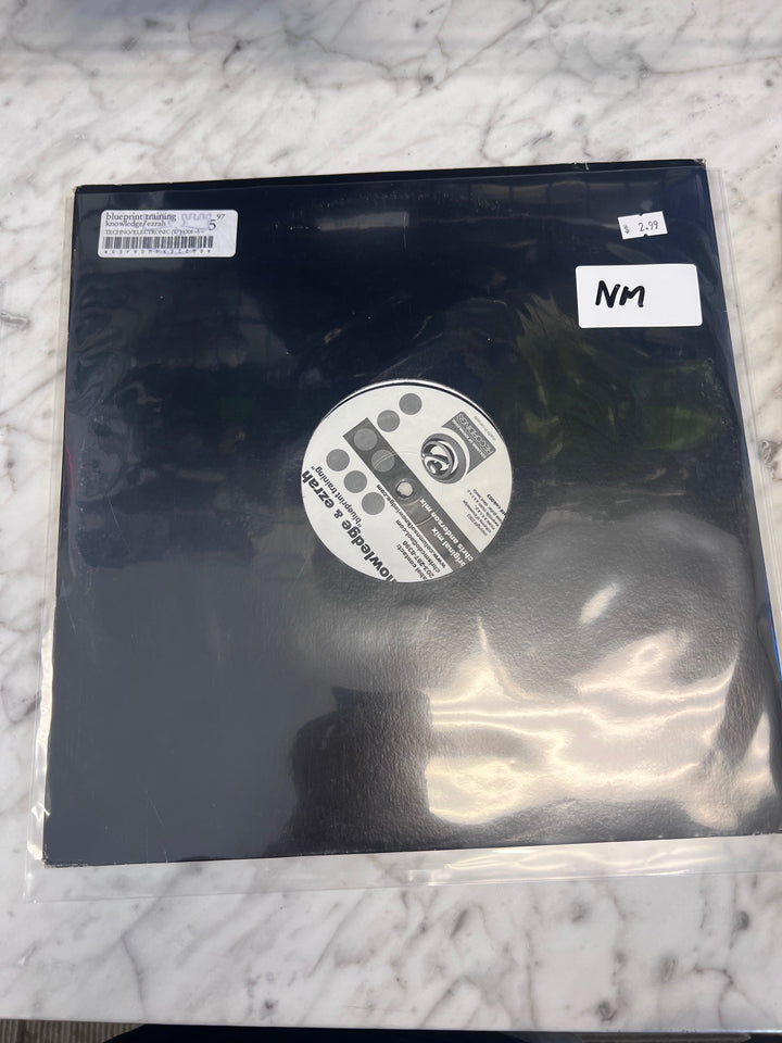Knowledge & Ezrah - Blueprint Training (NM) Condition Vinyl Record VR10125