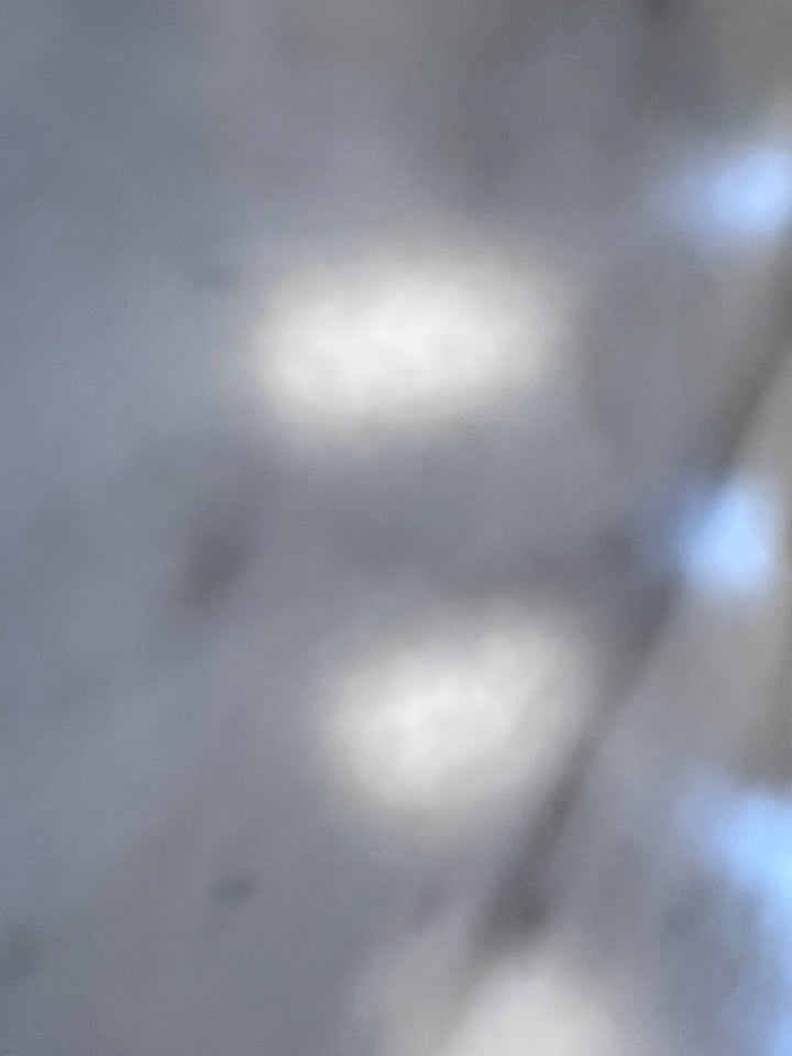 Spot Goes to Hollywood Sega Saturn MANUAL ONLY w/ reg card MO12726