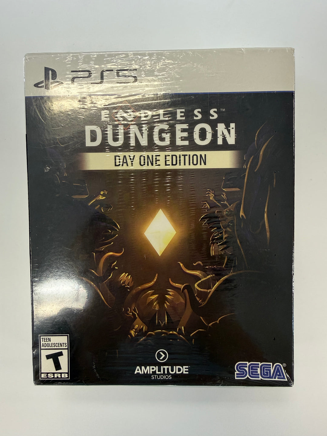 Endless Dungeon - PS5 DI10826