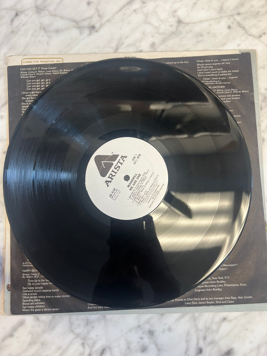 Mandrill - We Are One - Vinyl Record DR71124