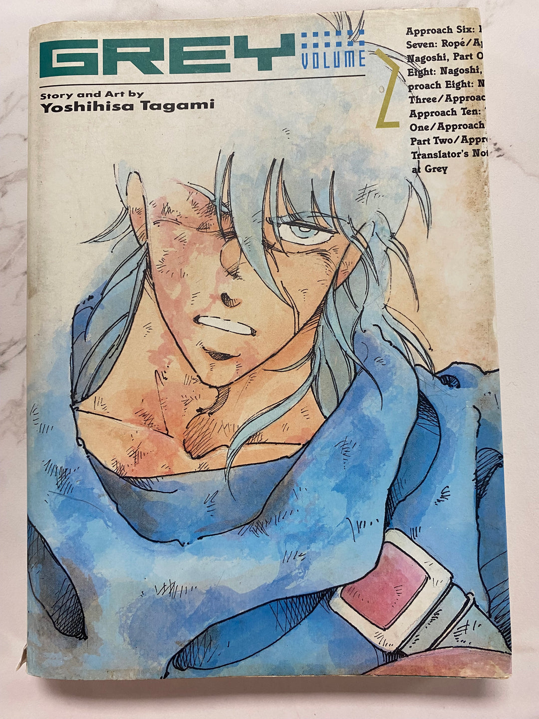 Grey Manga Volume 2 UG62726