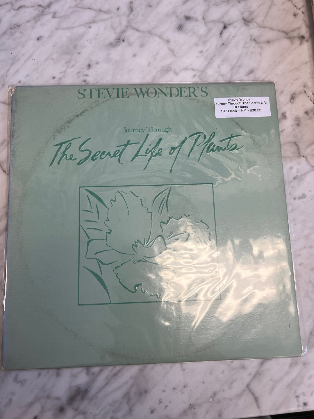 Stevie Wonder - Journey Through the Secret Life of Plants (NM) Condition Vinyl Record  VR42425