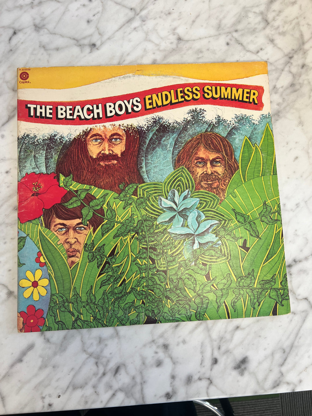 The Beach Boys - Endless Summer Vinyl Record DR71124