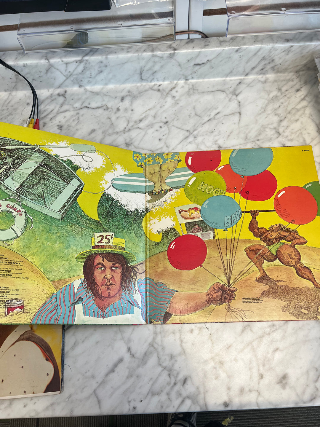 The Beach Boys - Endless Summer Vinyl Record DR71124