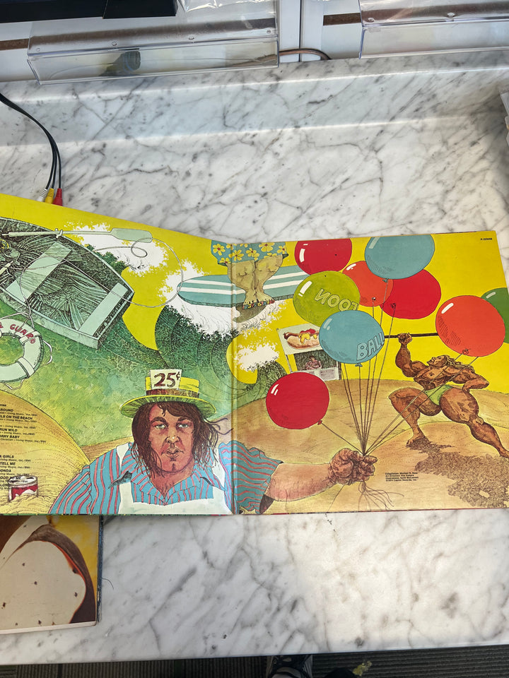 The Beach Boys - Endless Summer Vinyl Record DR71124