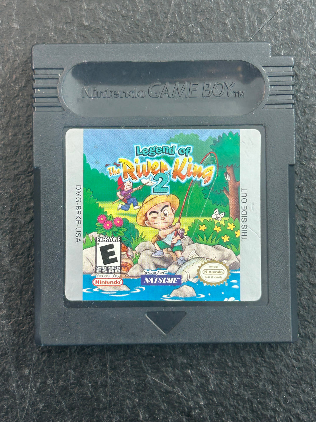 Legend of the River King 2 - Game Boy Color NI22626