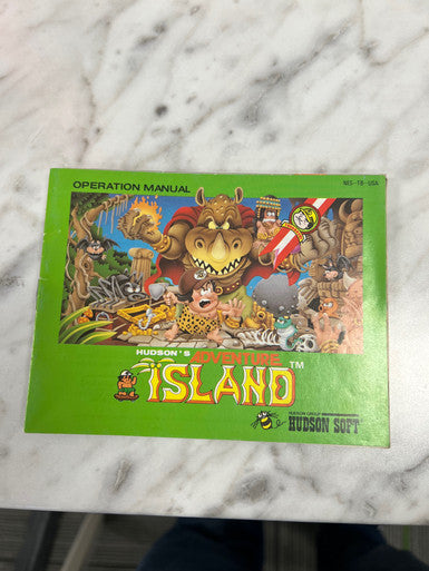 Adventure Island  NES Nintendo Entertainment System Manual Only